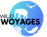 Wild Woyages – Wildlife, Nature and More