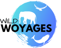 Wild Woyages – Wildlife, Nature and More