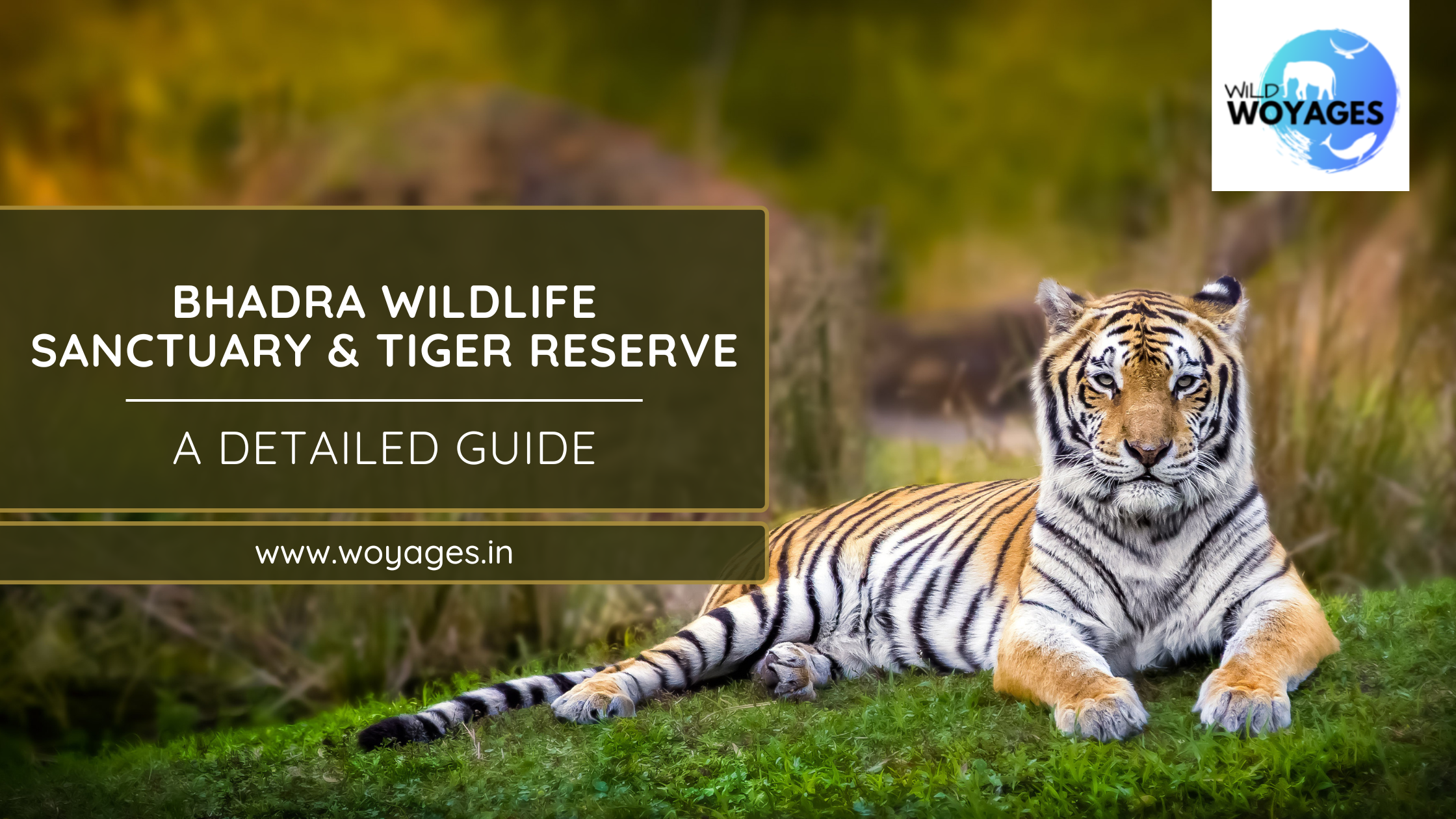 Bhadra Wildlife Sanctuary and Tiger Reserve Blog Header