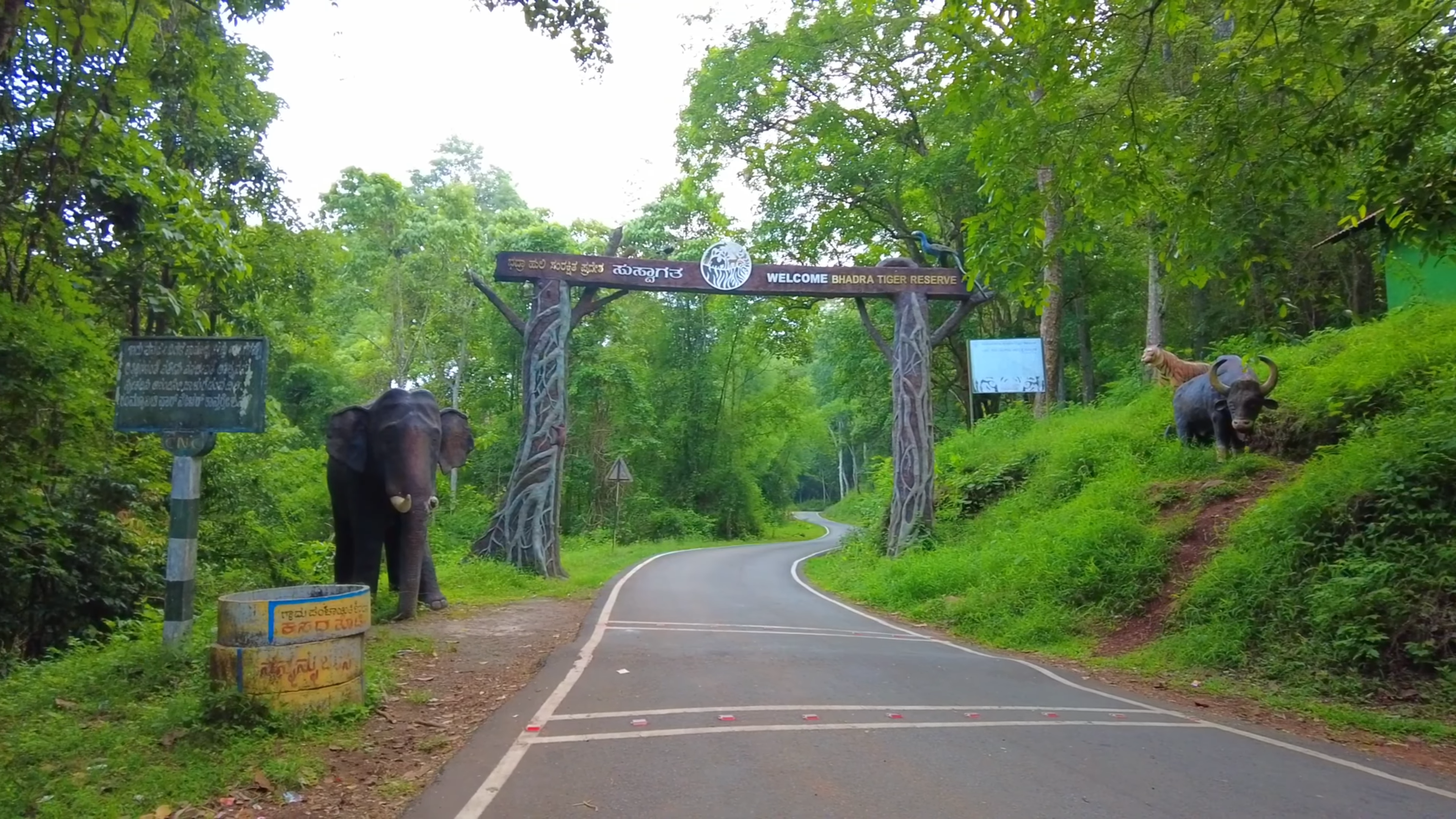 Bhadra Wildlife Sanctuary and Tiger Reserve Entry- Chikmagaluru.
