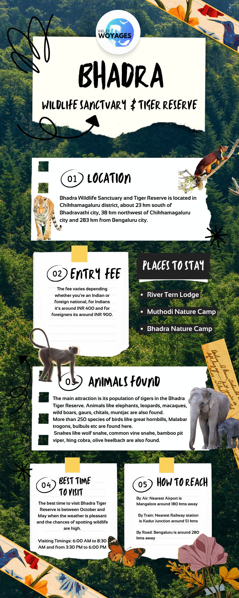Bhadra Wildlife Sanctuary and Tiger Reserve Quick Guide - Infographic