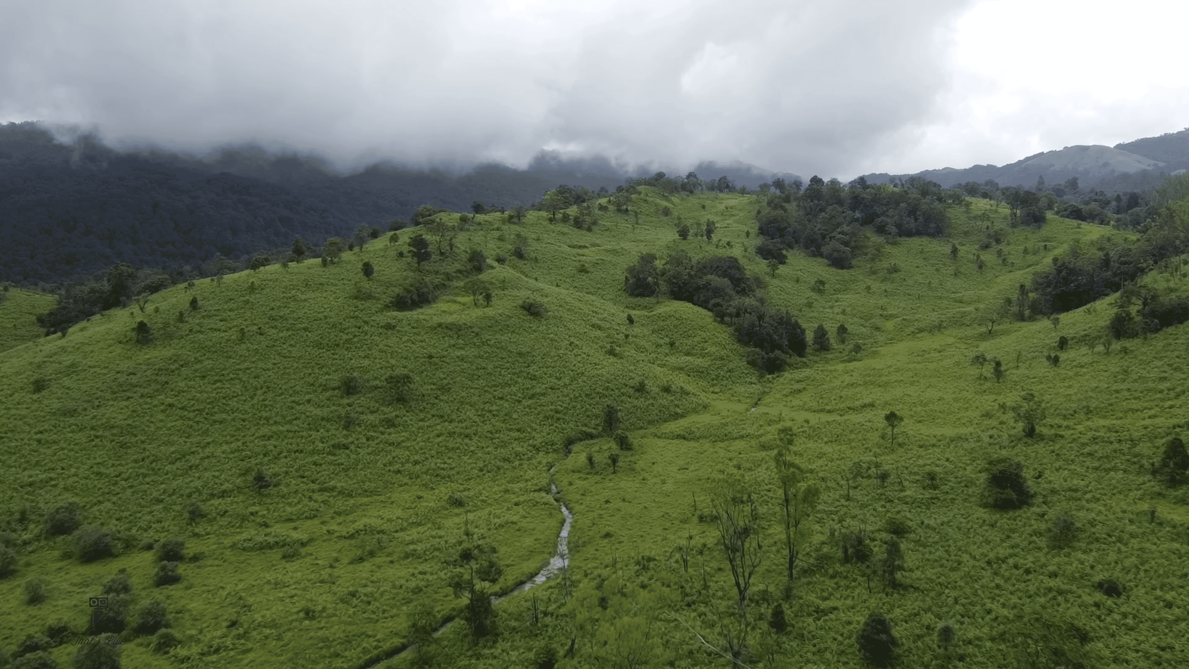 Kudremukh Peak Trek and National Park