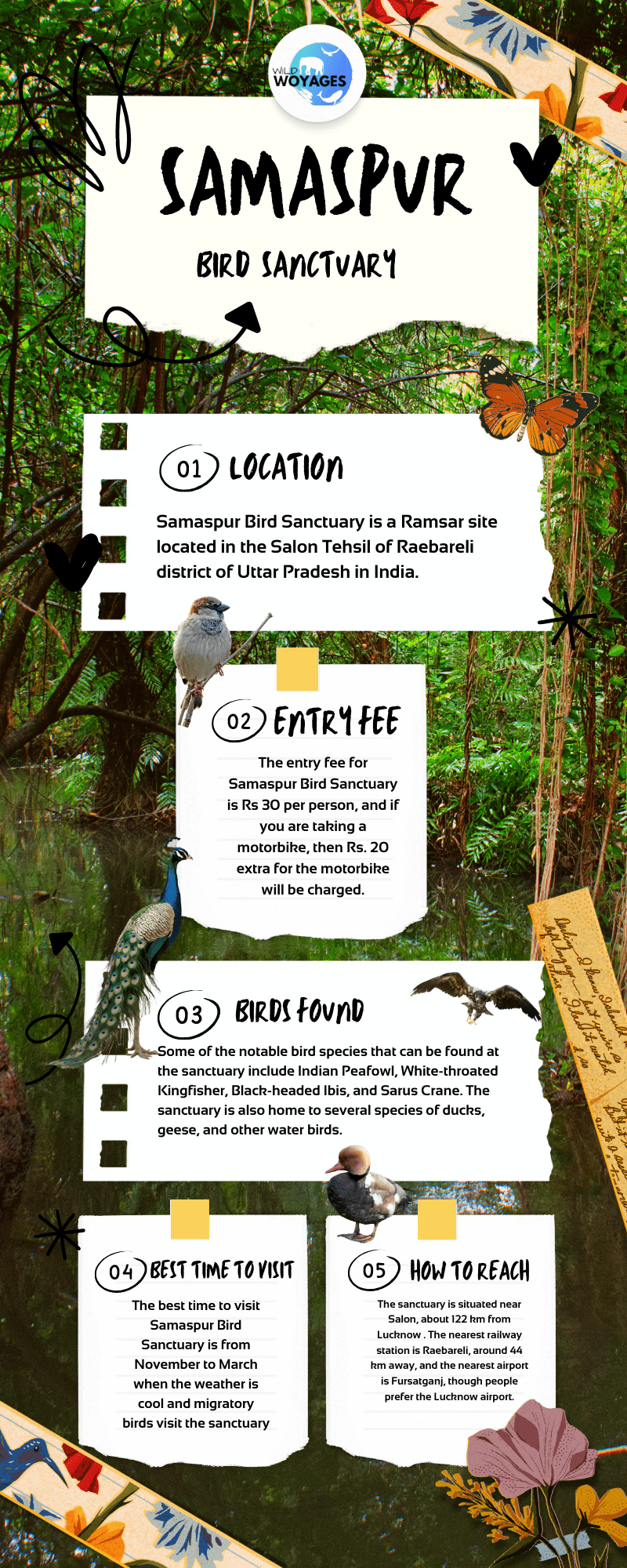 Samaspur Bird Sanctuary Infographic Quick Tips